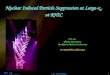 1 Nov. 15 QM2006 Shanghai J.H. Lee (BNL) Nuclear Induced Particle Suppression at Large-x F at RHIC J.H. Lee Physics Department Brookhaven National Laboratory
