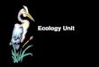 Ecology Unit. Definition of Ecology Ecology- the scientific study of interactions between organisms and their environments