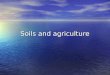 Soils and agriculture. Soils  Origins  Importance  Maturity and Horizons  Variations with Climate and Biomes  Variations in Texture and Porosity
