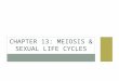 CHAPTER 13: MEIOSIS & SEXUAL LIFE CYCLES. WHAT YOU MUST KNOW The difference between asexual and sexual reproduction. The role of meiosis and fertilization