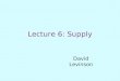 Lecture 6: Supply David Levinson. Outline Production Theory: An Introduction Production Functions Inputs and Outputs in Transportation Production Relationships