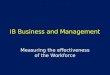 IB Business and Management Measuring the effectiveness of the Workforce
