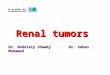 Renal tumors Dr. Abdelaty Shawky Dr. Gehan Mohamed