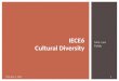Mrs. Lea Folds IECE6 Cultural Diversity February 1, 2012 1