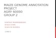 MAIZE GENOME ANNOTATION PROJECT AGRY 60000 GROUP 2 KARTHIK PADMANABHAN SHUAI CHEN SHAYLYN WIARDA 12/06/12