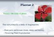Plantae 2 Botany –the study of plants Botany –the study of plants This unit primarily a study of Angiosperms - Plant parts and tissues (roots, stems and
