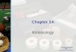Chapter 14: Kinesiology. Copyright ©2004 by Thomson Delmar Learning. ALL RIGHTS RESERVED. 2 The Anatomical Planes  Movements and descriptions of the