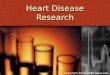 Heart Disease Research Copyright 2010. PEER.tamu.edu