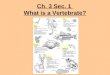 Ch. 3 Sec. 1 What is a Vertebrate?. characteristics of phylum Chordata notochord nerve cord pharyngeal slits