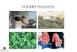 1 Health Hazards. This material was produced under grant number SH-22248-11-61-F-54 from the Occupational Safety and Health Administration, U.S. Department