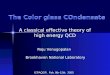 The Color glass COndensate A classical effective theory of high energy QCD Raju Venugopalan Brookhaven National Laboratory ICPAQGP, Feb. 8th-12th, 2005
