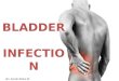 BLADDER INFECTION Clinical Presentation Lim, Syndel Raina W