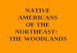 NATIVE AMERICANS OF THE NORTHEAST: THE WOODLANDS