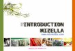 INTRODUCTION MIZELLA . CONTENTS  MIZELLA Co.  MIZELLA  HISTORY  ASSETS  SWOT ANALYZE  RESEARCH & DEVELOPMENT  MERRY-M  PROSYS