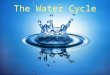 The Water Cycle. Water comes from primordial Earth, condensed from magma as Earth cooled. Water cycle is driven by the sun and by gravity. Necessary for
