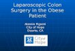 Laparoscopic Colon Surgery in the Obese Patient Alessio Pigazzi City of Hope Duarte, CA