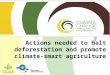 Actions needed to halt deforestation and promote climate-smart agriculture