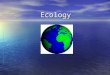 Ecology. Ecology Ecology = the study of the interactions among organisms and their environment Ecology = the study of the interactions among organisms