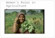 Women’s Roles in Agriculture. Women’s participation in agriculture Produce 60-80% of food supply in most developing countries 54% of those economically