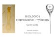 BIOL30001 Reproductive Physiology Germ cells Danielle Hickford hickford@unimelb.edu.au