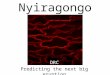 Nyiragongo DRC Predicting the next big eruption. Nyiragongo DRC