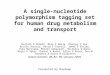 A single-nucleotide polymorphism tagging set for human drug metabolism and transport Kourosh R Ahmadi, Mike E Weale, Zhengyu Y Xue, Nicole Soranzo, David