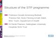 Structure of the STP programme Professor Gerald Armstrong-Bednall, Theresa Fail, Nicky Fleming & Kath Sidoli, MSC Team, Department of Health Dr Derek Pearson,
