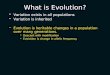 What is Evolution? Variation exists in all populations Variation is inherited Evolution is heritable changes in a population over many generations. Descent