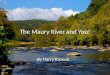 The Maury River and You! By Harry Razook. Maury River Drinking Quality Information Your drinking water is commonly obtained from the surface of the Maury