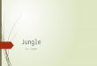 Jungle By: Carmen. Plants  Some plants in the amazon are the hot lips flower, aphelandra flower, shell ginger, hirtella and melastoma leaf.  The hot