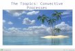 TropicalM. D. Eastin The Tropics: Convective Processes
