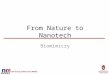 University of Wisconsin MRSEC From Nature to Nanotech Biomimicry