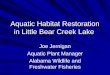 Aquatic Habitat Restoration in Little Bear Creek Lake Joe Jernigan Aquatic Plant Manager Alabama Wildlife and Freshwater Fisheries