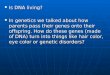Is DNA living? Is DNA living? In genetics we talked about how parents pass their genes onto their offspring. How do these genes (made of DNA) turn into