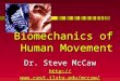 Biomechanics of Human Movement Dr. Steve McCaw