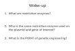Wake-up 1.What are restriction enzymes? 1.Why is the same restriction enzyme used on the plasmid and gene of interest? 2.What is the POINT of genetic engineering?