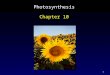 1 Photosynthesis Chapter 10. 2 Outline Chloroplasts Light-Independent Reactions Absorption Spectra – Pigments Light-Dependent Reactions Photosystems C