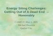 Energy Siting Challenges: Getting Out of A Dead End -- Honorably CAMPUT: May 3, 2005 Michael Dworkin Quebec City