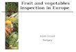 Fruit and vegetables inspection in Europe István Ecsedi Hungary