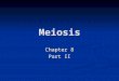 Meiosis Chapter 8 Part II. Agenda Textbook: Pages 136-143 Meiosis and crossing over, Pages 181-193 The structure of genetic material. Textbook: Pages