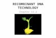 RECOMBINANT DNA TECHNOLOGY Chapter 13.2. GENETIC ENGINEERING Genetic Engineering: – Involves cutting (cleaving) DNA from one organism into small fragments