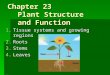 Chapter 23 Plant Structure and Function 1.Tissue systems and growing regions 2.Roots 3.Stems 4.Leaves