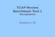 TCAP Review Benchmark Test 1 Mesopotamia Questions 1-35