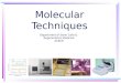 Molecular Techniques Department of Stem Cells & Regenerative Medicine ACECR