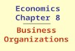 Economics Chapter 8 Business Organizations. Chapter 8 Section 1 Sole Proprietorship