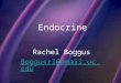 Endocrine Rachel Boggus Boggusrl@email.uc.edu. 10/19/2015Template copyright 2005  Endocrine Secretion What is it? What is a feature