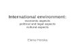 International environment: economic aspects political and legal aspects cultural aspects Elena Horska