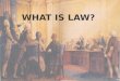 WHAT IS LAW? TM. Jurisprudence. The study of law and legal philosophy