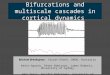 Bifurcations and multiscale cascades in cortical dynamics Michael Breakspear, Stuart Knock, UNSW, Australia Kevin Aquino, Peter Robinson, James Roberts,