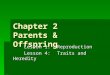 Chapter 2 Parents & Offspring Lesson 1:Reproduction Lesson 4:Traits and Heredity
